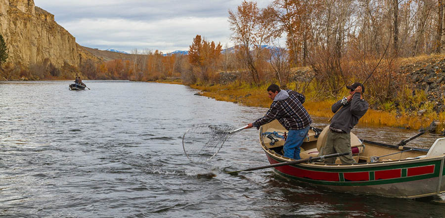 Fishing trips in Salmon, Idaho